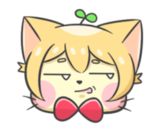 16703556