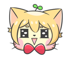 16703557