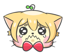 16703559