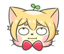 16703560