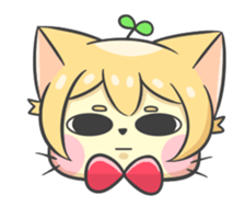 16703563