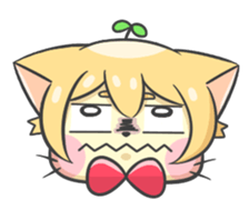 16703571