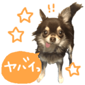 167037868