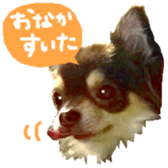 167037869