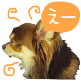 167037874
