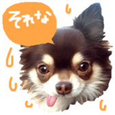 167037879