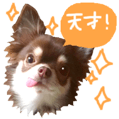 167037880