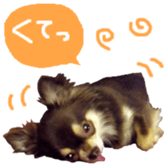 167037881