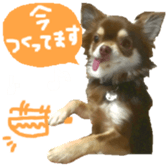 167037882