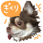 167037883