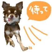 167037884