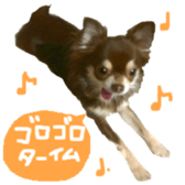 167037885