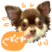 167037889