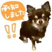 167037891