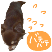 167037892