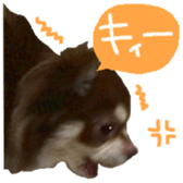167037893