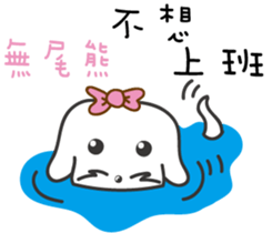167062224