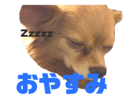 167074727