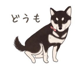 16708002