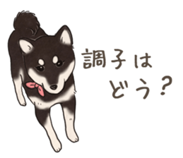 16708005