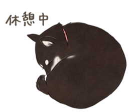 16708008