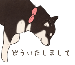16708009