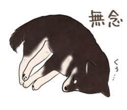 16708016