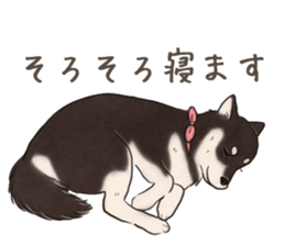 16708019