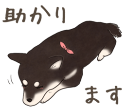 16708024