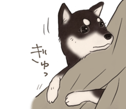 16708029