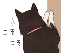 16708039