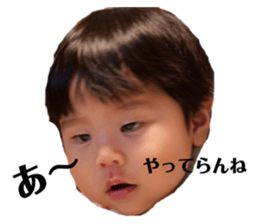 167115893
