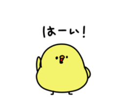 167117984