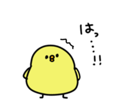 167117986