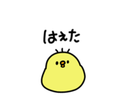 167118018