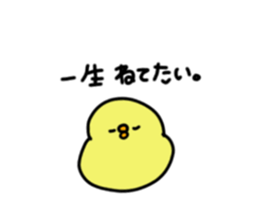 167118020