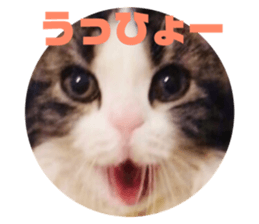 167179372