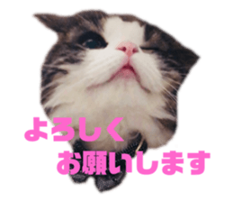 167179396