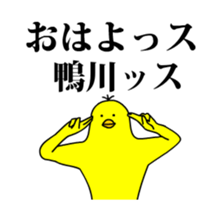 167318072