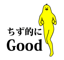 167322684