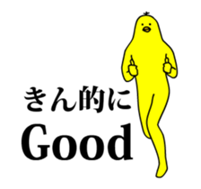 167323036
