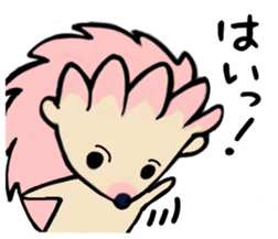167362805