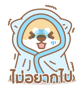 ชิบะฉายฉาย รูปที่ 1