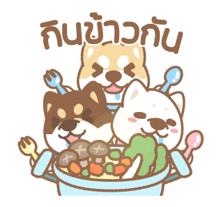 ชิบะฉายฉาย รูปที่ 5