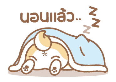 ชิบะฉายฉาย รูปที่ 13
