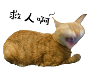 167518616