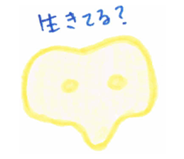 16752396