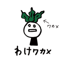 16753734