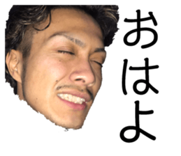 167559456