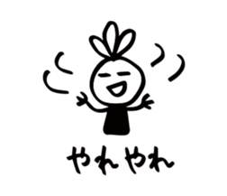 16758398